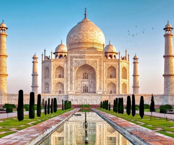 Lang taj mahai 65574