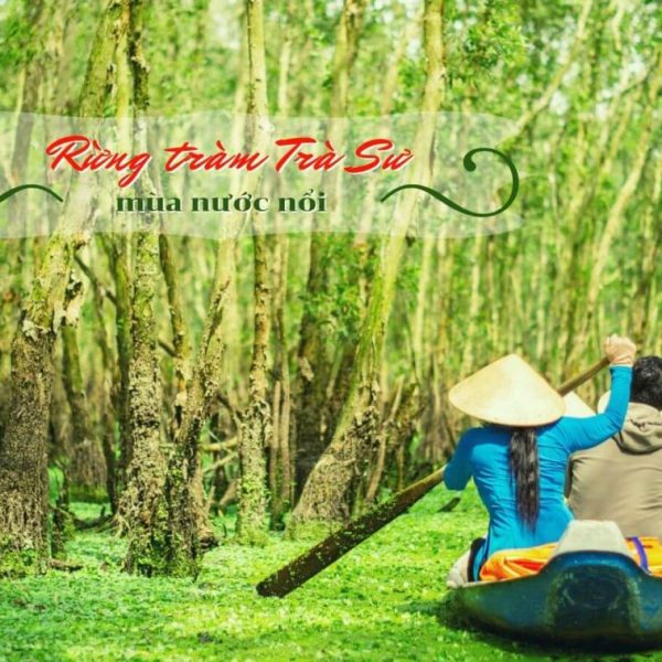 Rung tram tra su an giang